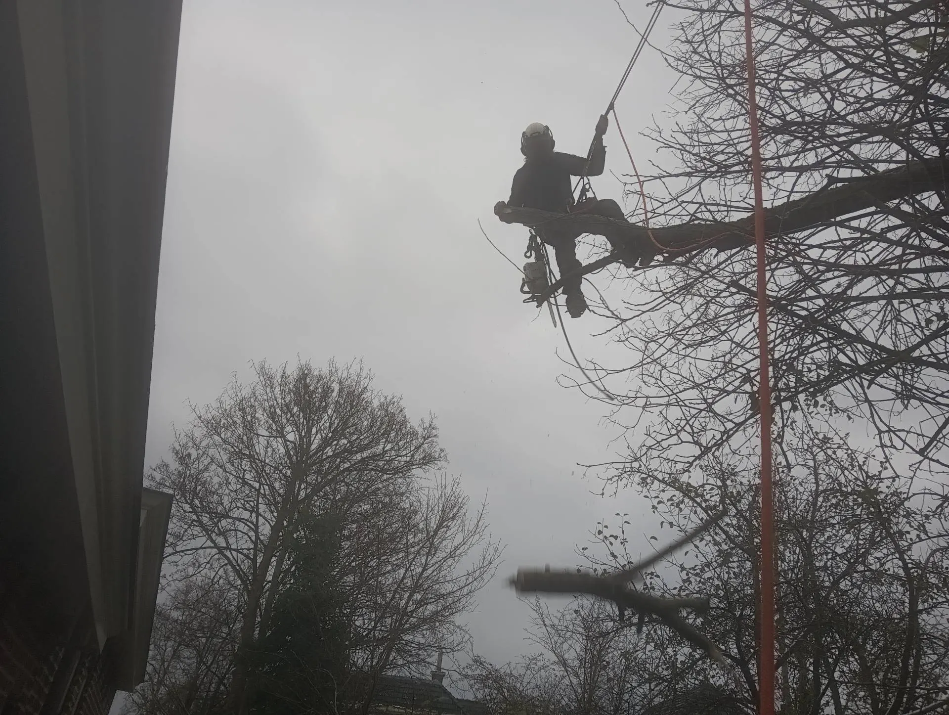 Leo hangend aan touwen zaagt een tak af vlak naast een woning in de stad